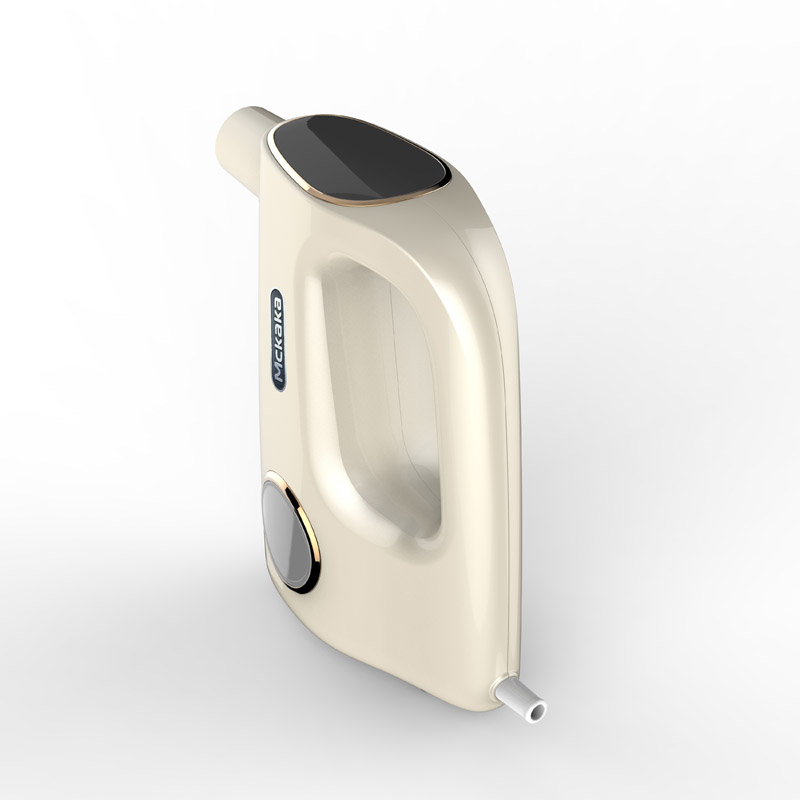 Steam cleaner for cars