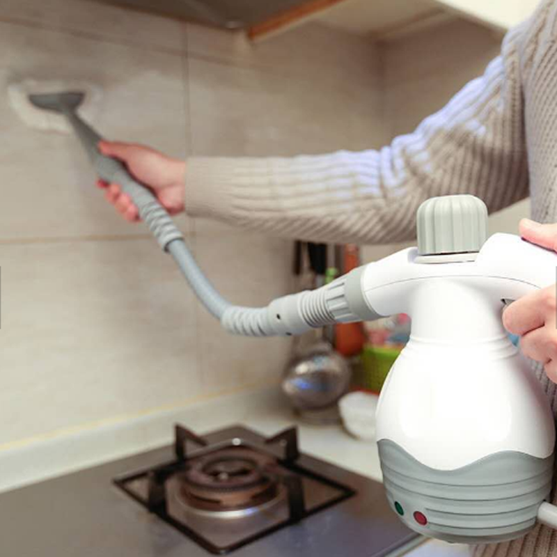 Steam Cleaner For Home